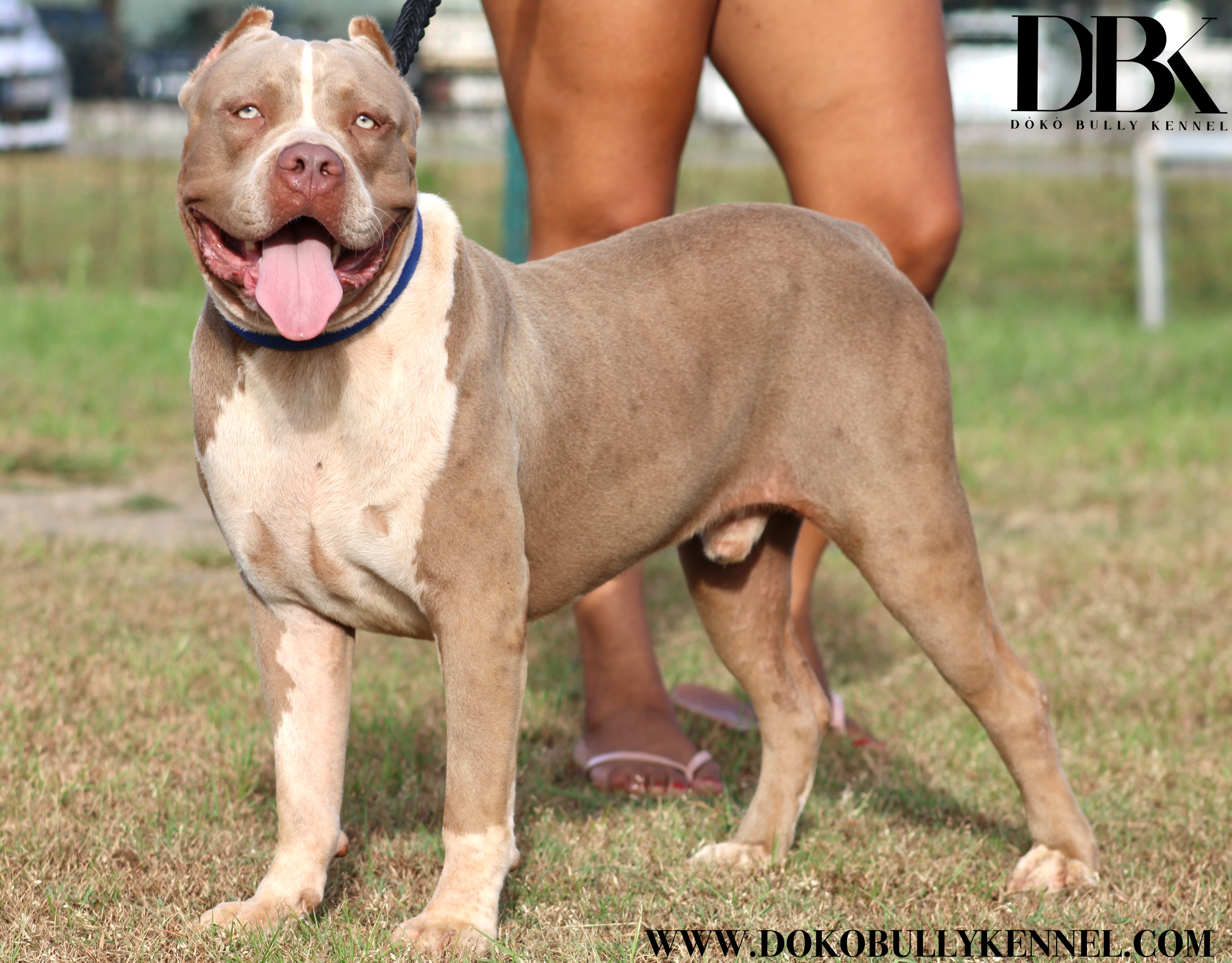 ezy-watermark-20-08-2022-07-57-29pm-631a6233c2b22746695213.jpg